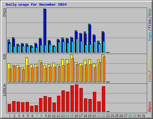 Daily usage for December 2024