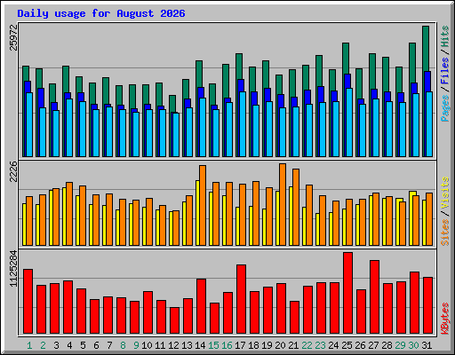 Daily usage for August 2026
