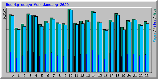 Hourly usage for January 2022