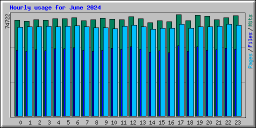 Hourly usage for June 2024