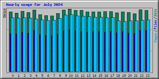 Hourly usage for July 2024