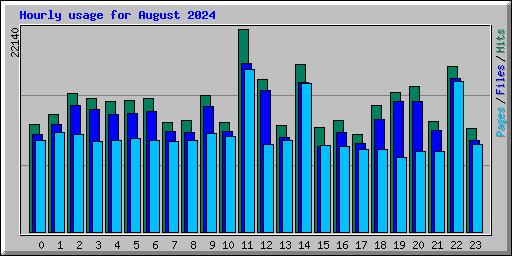 Hourly usage for August 2024