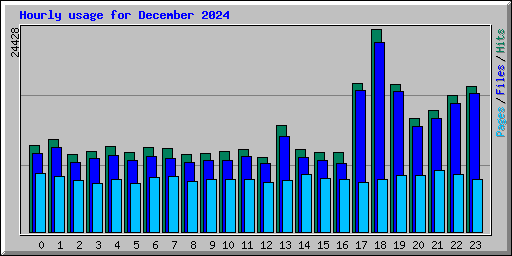 Hourly usage for December 2024