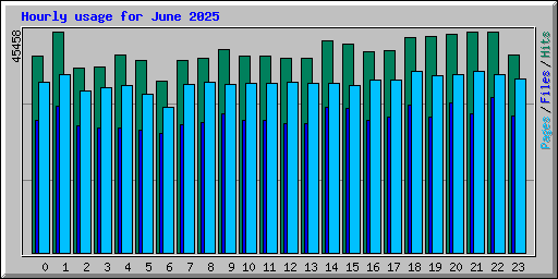 Hourly usage for June 2025