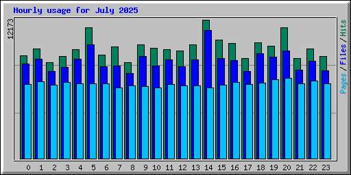 Hourly usage for July 2025