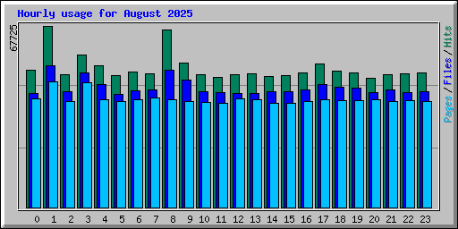 Hourly usage for August 2025