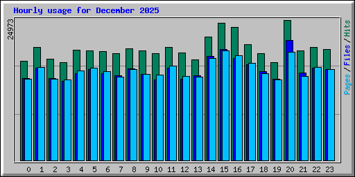 Hourly usage for December 2025