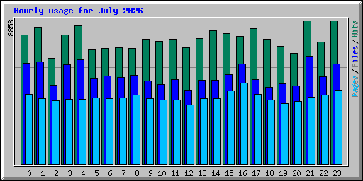 Hourly usage for July 2026
