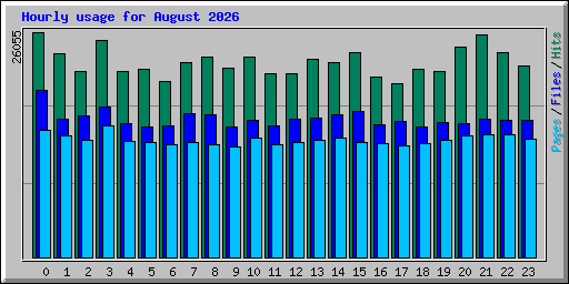 Hourly usage for August 2026